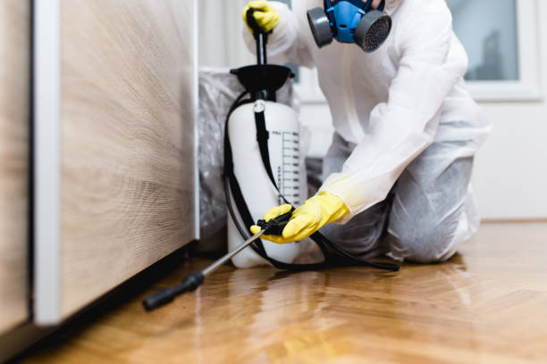 Best Affordable Pest Control Services  in Redwater, TX