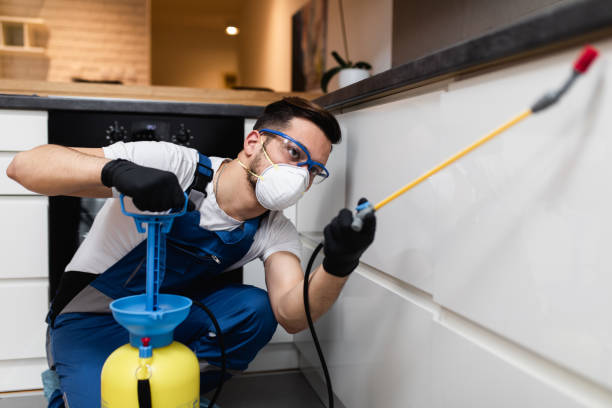 Best Ant Control Services  in Redwater, TX