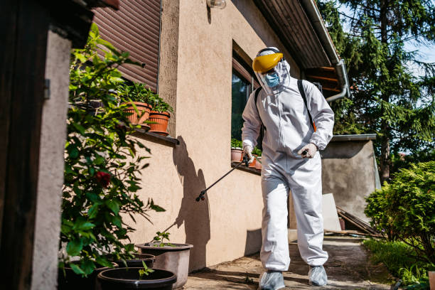 Best Wildlife Control Services  in Redwater, TX