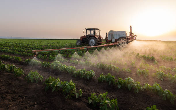 Best Pest Inspection Near Me  in Redwater, TX