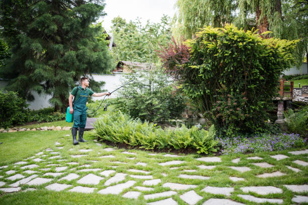 Best Wasp Removal Services  in Redwater, TX