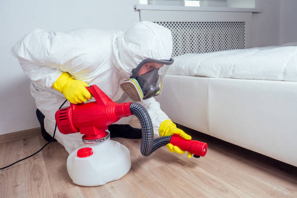 Best Local Pest Control Services  in Redwater, TX