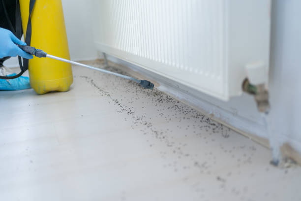 Best Residential Pest Control  in Redwater, TX