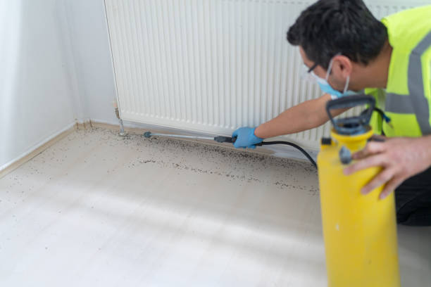 Best Pest Control Near Me  in Redwater, TX