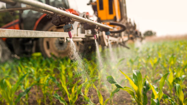 Professional Pest Control in Redwater, TX